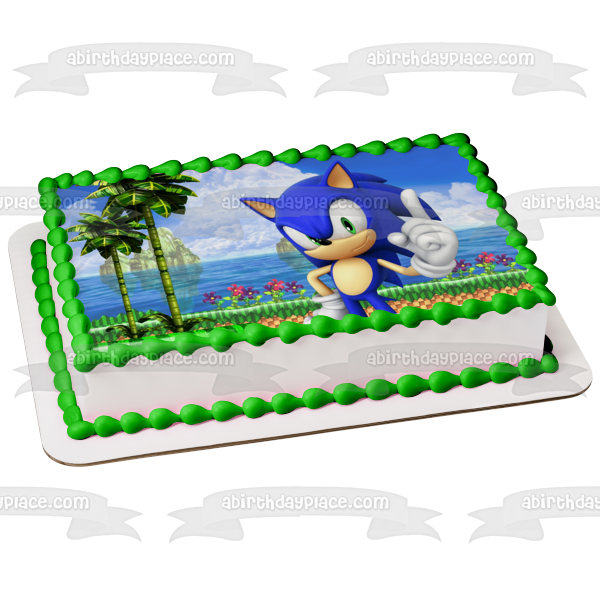 Sonic the Hedgehog Sega Island Video Game Edible Cake Topper Image ABPID52903