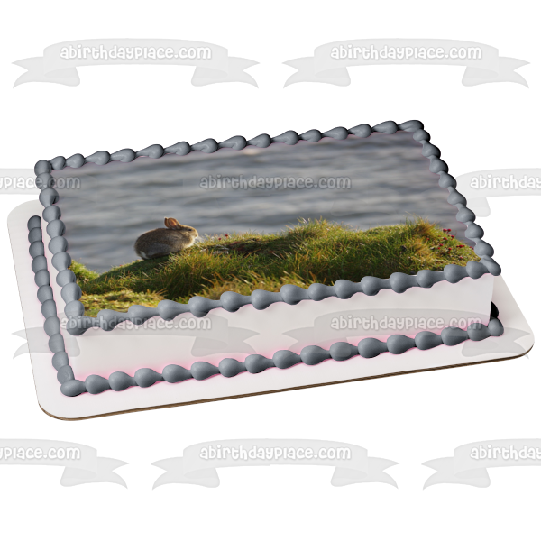 Bunny Rabbit Cliffside Nature Animal Edible Cake Topper Image ABPID52914