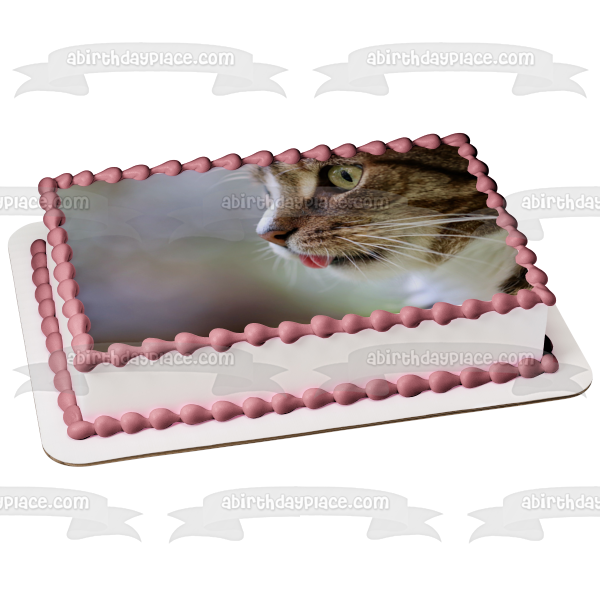 Cat Kitten Tongue Animal Pet Edible Cake Topper Image ABPID52915