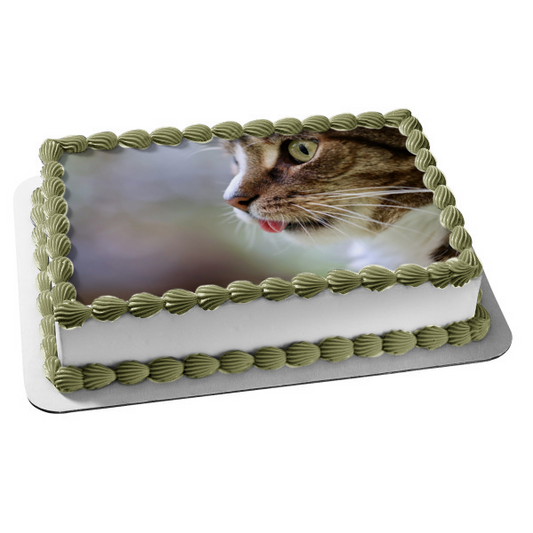 Cat Kitten Tongue Animal Pet Edible Cake Topper Image ABPID52915