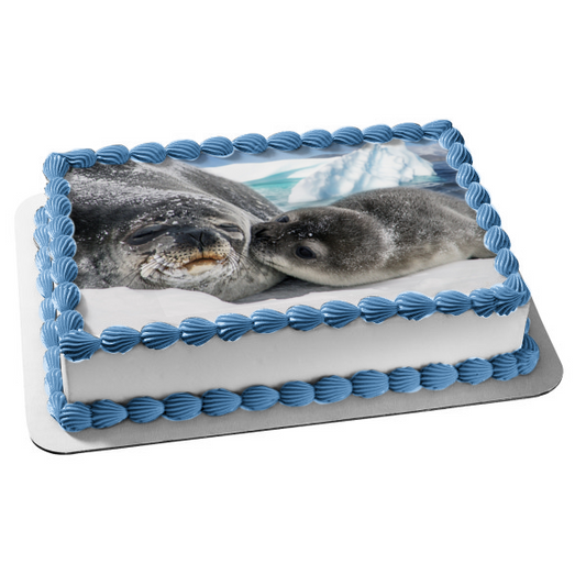 Mother and Baby Seal Nature Animal Wildife Arctic Ocean Edible Cake Topper Image ABPID52916