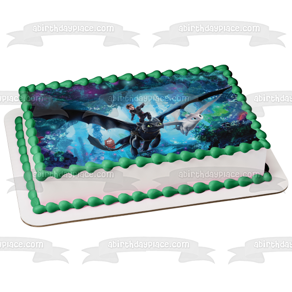 How to Train Your Dragon Hidden World Toothless Hiccup White Fury Edible Cake Topper Image ABPID22423