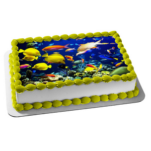 Fish Underwater Sea Life of Tropical Fish Edible Cake Topper Image