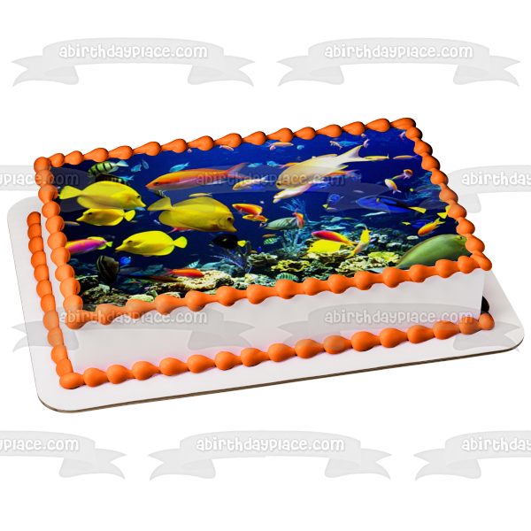 Fish Underwater Sea Life of Tropical Fish Edible Cake Topper Image ABPID05132