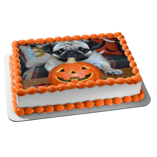 Happy Halloween Jack-O-Lantern Pug Puppy Edible Cake Topper Image ABPID52930