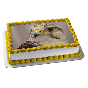 Wildlife Eagle Edible Cake Topper Image ABPID52938