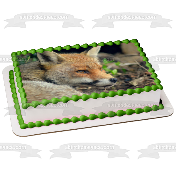 Wildlife Fox Edible Cake Topper Image ABPID52939