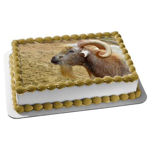 Goat Nature Animal Wildlife Edible Cake Topper Image ABPID52943