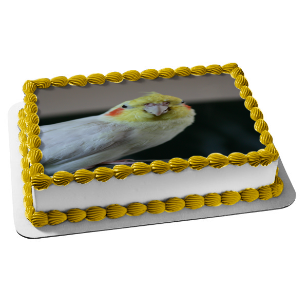 Cockatiel Bird Pet Animal Edible Cake Topper Image ABPID52948