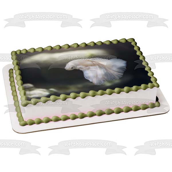 White Betta Fish Aquarium Animal Nature Edible Cake Topper Image ABPID52988
