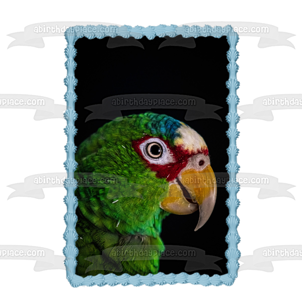 Parrot Bird Animal Nature Wildlife Edible Cake Topper Image ABPID52993
