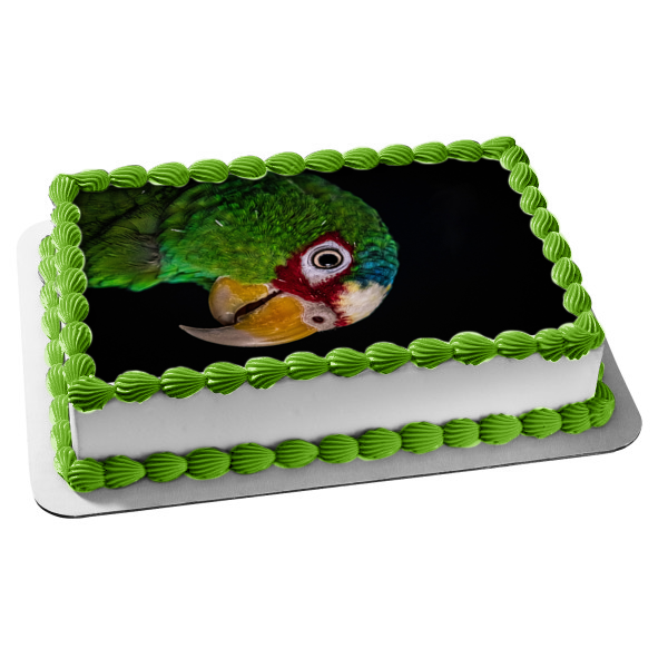 Parrot Bird Animal Nature Wildlife Edible Cake Topper Image ABPID52993