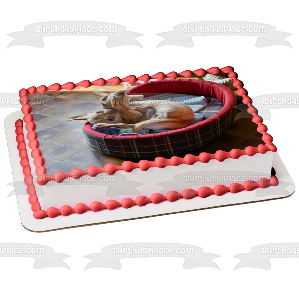 Dog Puppy Animal Cute Pet Playing Edible Cake Topper Image ABPID53014