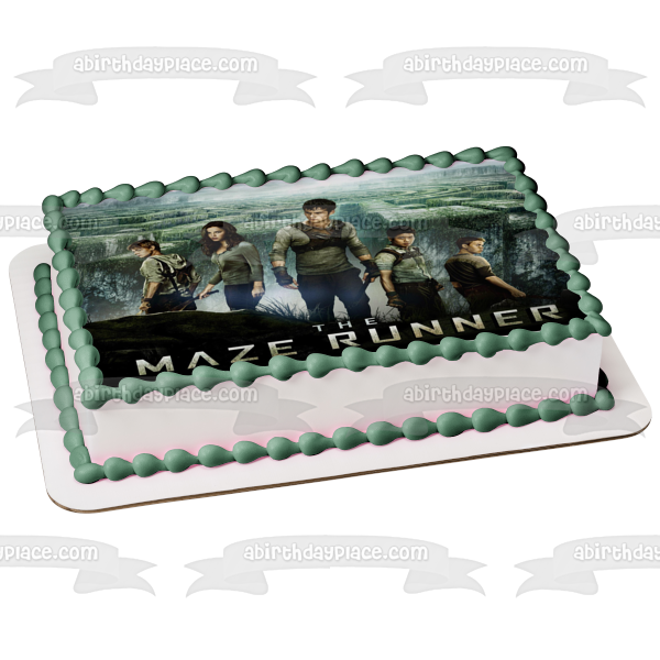 The Maze Runner Newt Minho Gally Thomas Teresa with a Maze Background Edible Cake Topper Image ABPID01425
