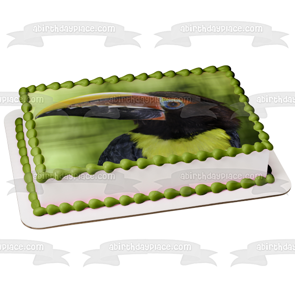 Parrot Aracaris Bird Nature Animal Outdoor Wildlife Edible Cake Topper Image ABPID53186