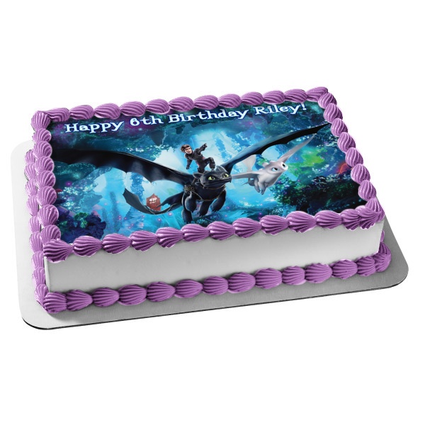 How to Train Your Dragon Hidden World Toothless Hiccup White Fury Edible Cake Topper Image ABPID22423