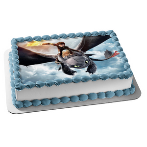 How to Train Your Dragon Toothless Hiccup Edible Cake Topper Image ABPID05339