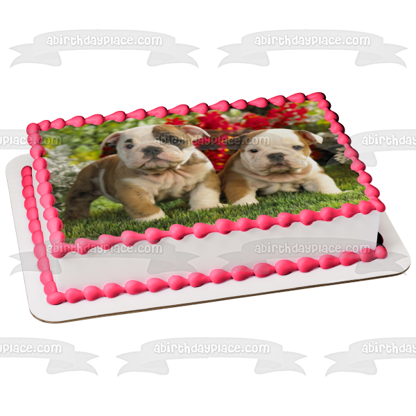 Puppies Bulldogs Grass and Flowers Edible Cake Topper Image ABPID06070