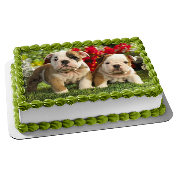 Puppies Bulldogs Grass and Flowers Edible Cake Topper Image ABPID06070
