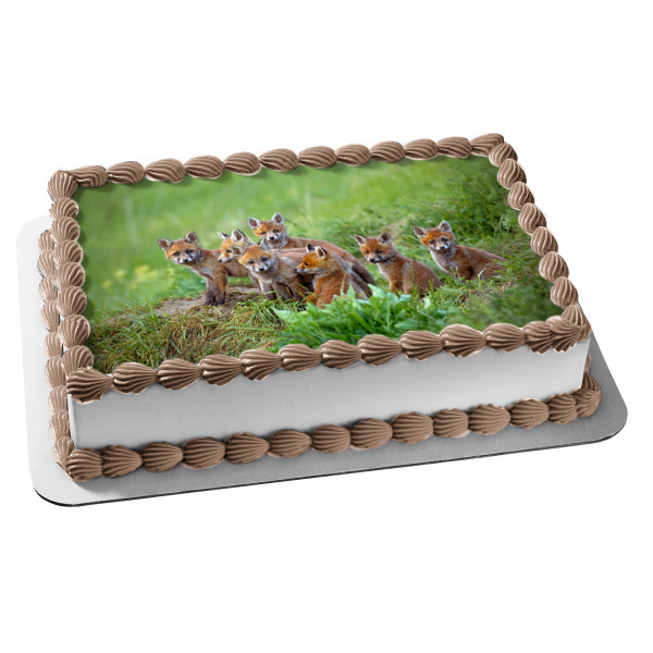 Red Fox Vulpes Cubs Sitting by the Den Nature Animals Edible Cake Topper Image ABPID53627
