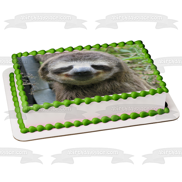 Sloth Smiling Edible Cake Topper Image ABPID49743