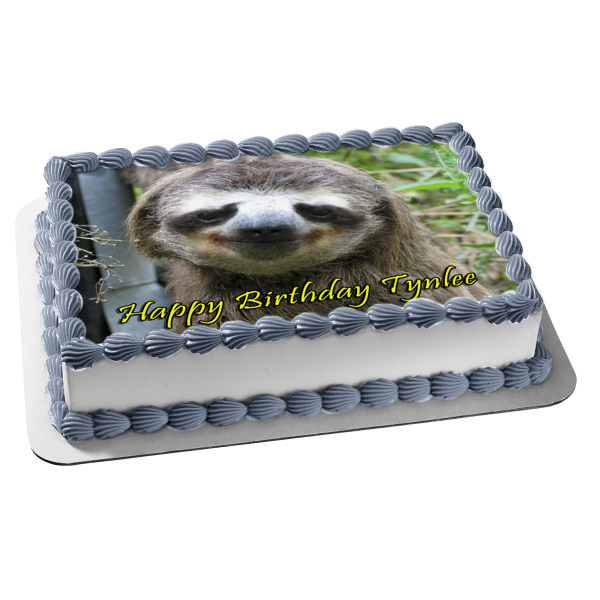 Sloth Smiling Edible Cake Topper Image ABPID49743