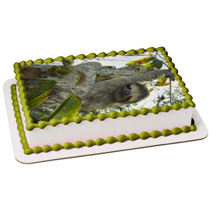 Sloth In a Tree Edible Cake Topper Image ABPID49798