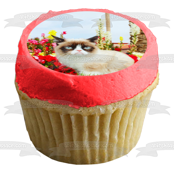 Grumpy Cat Flowers Sky Background Edible Cake Topper Image ABPID49809