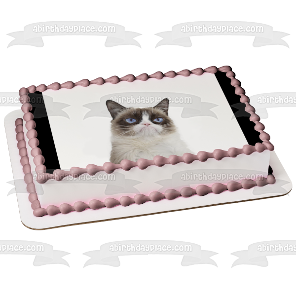 Grumpy Cat Edible Cake Topper Image ABPID49894