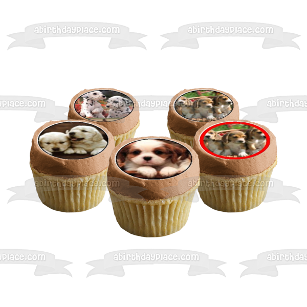 Puppies Golden Retrievers Dalmatians and Beagles Edible Cupcake Topper Images ABPID08105
