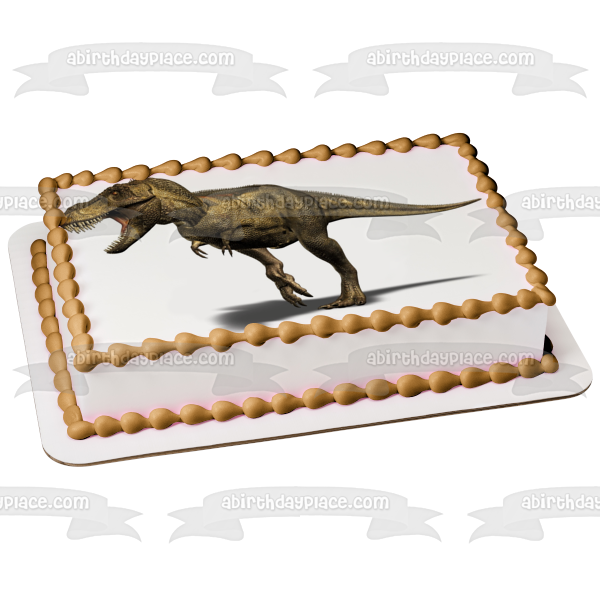 Tyrannosaurus Rex Dinosaur with a White Background Edible Cake Topper Image ABPID06665
