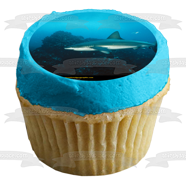 Galapagos Shark Under the Water Edible Cake Topper Image ABPID07276