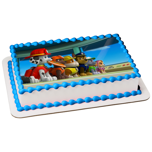 Paw Patrol Chase Everest Skye Zuma Marshall and Rocky Edible Cake Topper Image ABPID07300