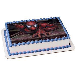 Spider-Man Climbing a Wall Edible Cake Topper Image ABPID07792