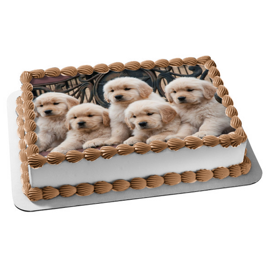 Puppies Golden Retrivers Edible Cake Topper Image ABPID08013