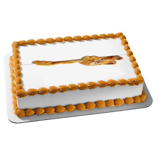 Imagen comestible para decoración de tarta de Garfield y sus amigos ABPID08176 