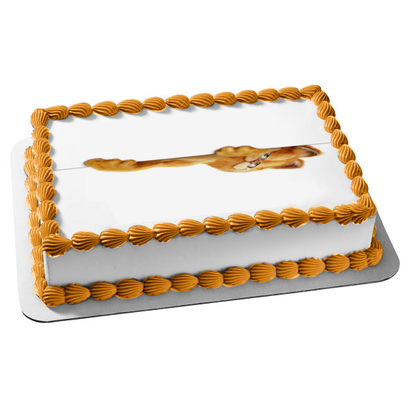 Garfield and Friends Edible Cake Topper Image ABPID08176