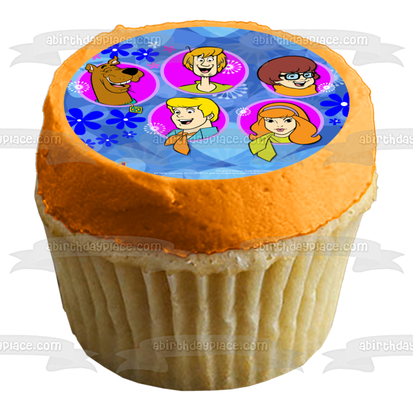 Scooby-Doo Logo Shaggy Velma Fred Daphne Flowers Edible Cake Topper Image ABPID08521