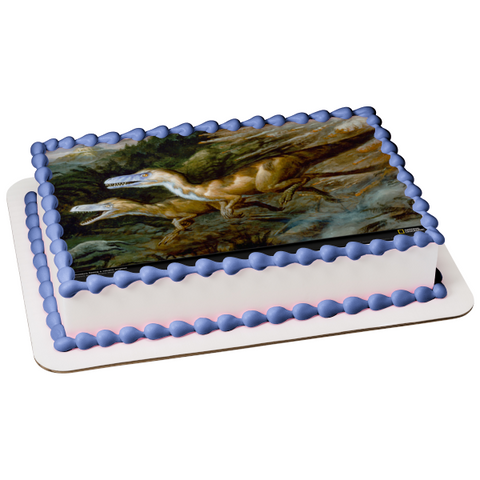 Dinosaurs Roaming Tyrannosaurus Rex Edible Cake Topper Image ABPID08309