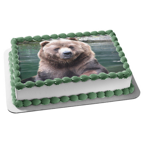 Brown Bear Lake Edible Cake Topper Image ABPID08878