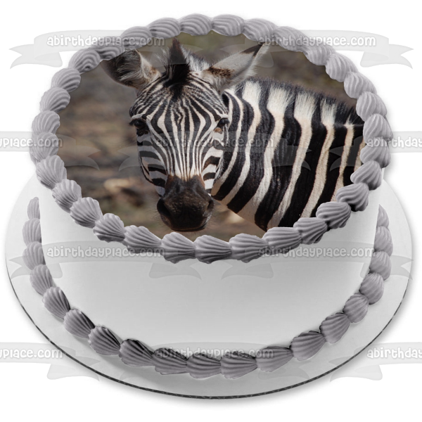 Zebra Animals Trees Background Edible Cake Topper Image ABPID09556