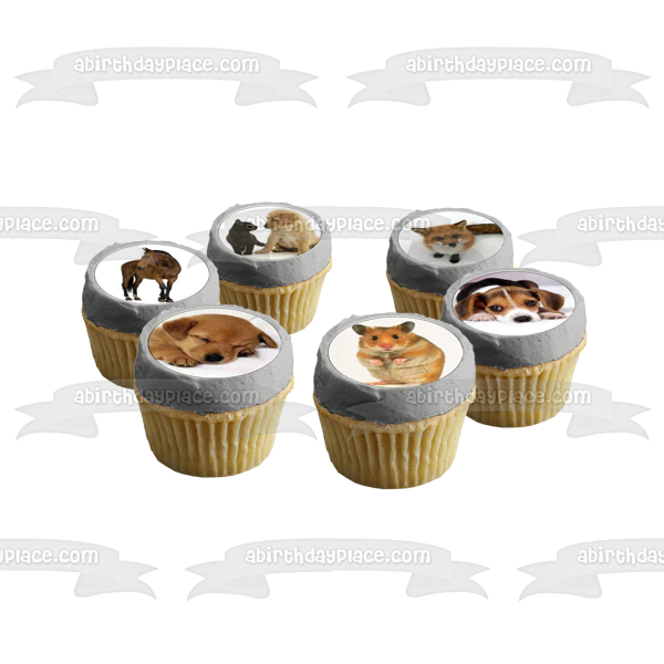 Assorted Animals Cats Pigs Horses Dogs Porcupines Birds Rabbits Edible Cupcake Topper Images ABPID49822