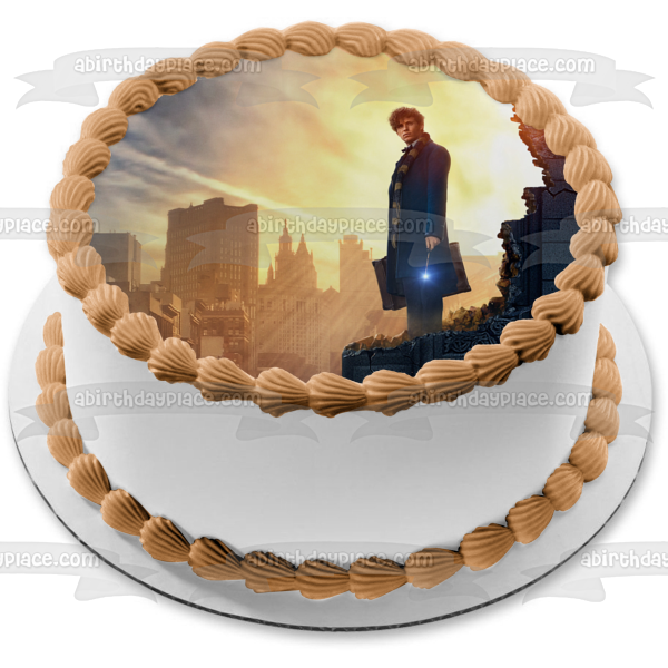 Fantastic Beasts and Where to Find Them Newt Scamander Standing on the Edge Sunset Edible Cake Topper Image ABPID00153