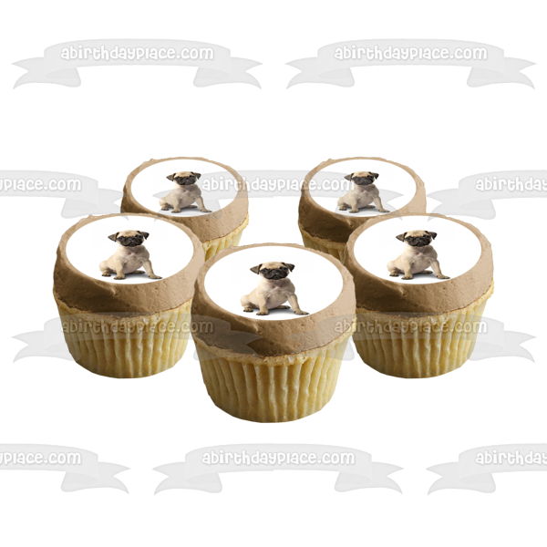 Dogs Pug Puppy Edible Cake Topper Image ABPID01439