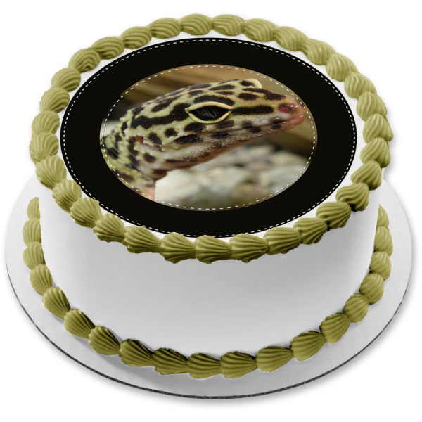 Spotted Gecko Black Circular Edge Edible Cake Topper Image ABPID27262