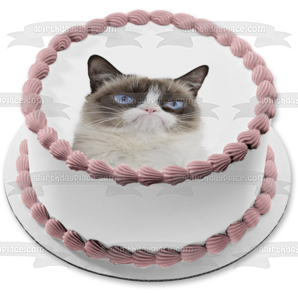 Grumpy Cat Edible Cake Topper Image ABPID49894