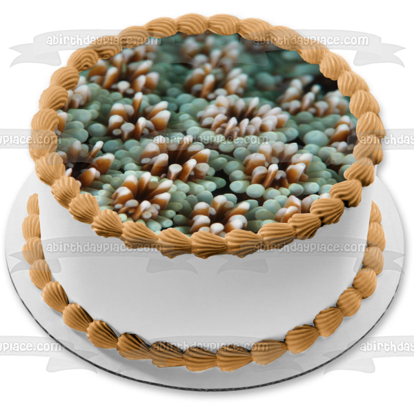 Ocean Life Coral Landscape Edible Cake Topper Image ABPID52520