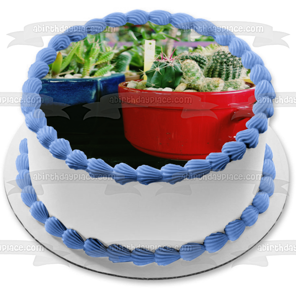 Assorted Cacti Plants In Mugs Edible Cake Topper Image ABPID52525