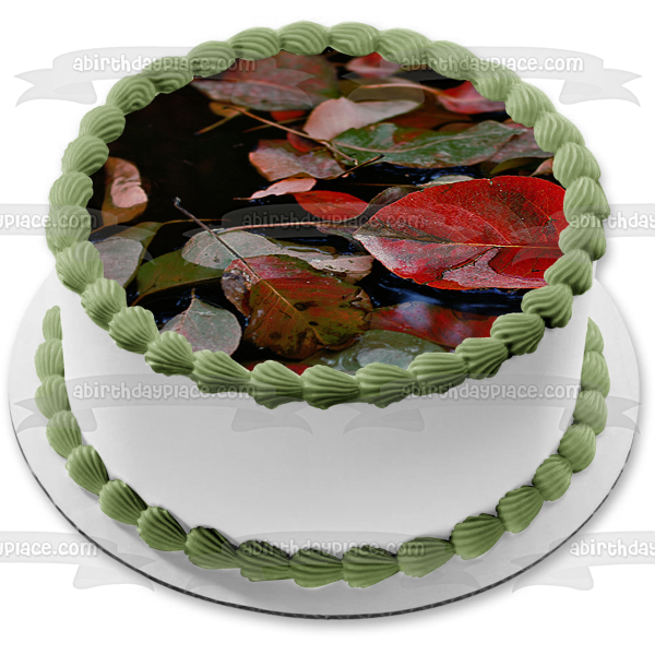 Fall Season Colorful Leaves on the Water Edible Cake Topper Image ABPID52549