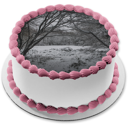 Snowy Trees Edible Cake Topper Image ABPID52578